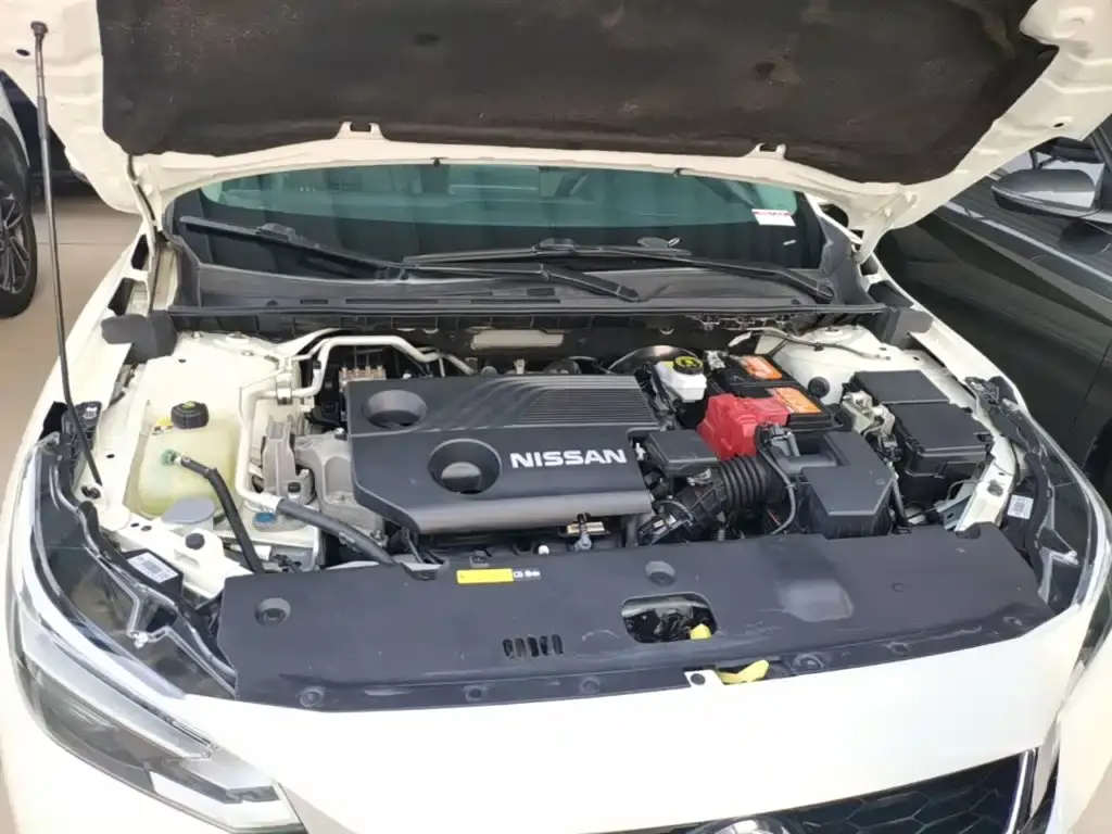 Фото 12